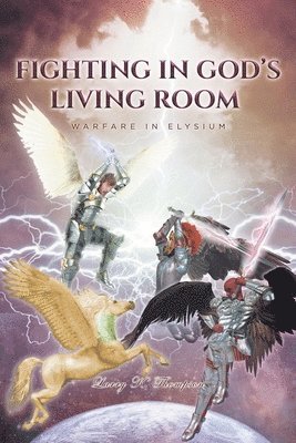 bokomslag Fighting in God's Living Room