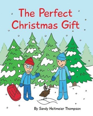 bokomslag Perfect Christmas Gift