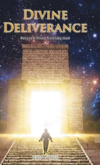bokomslag Divine Deliverance