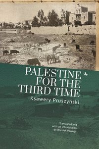 bokomslag Palestine for the Third Time