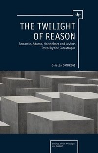 bokomslag The Twilight of Reason