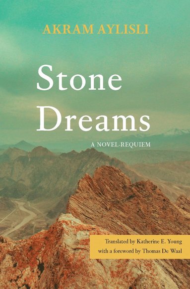 bokomslag Stone Dreams