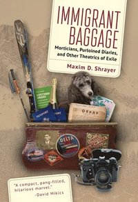 bokomslag Immigrant Baggage