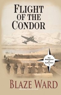 bokomslag Flight of the Condor