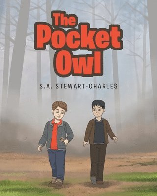 The Pocket Owl 1