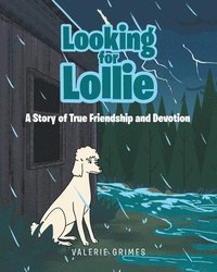 bokomslag Looking for Lollie