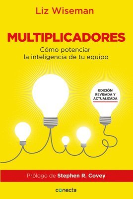 bokomslag Multiplicadores