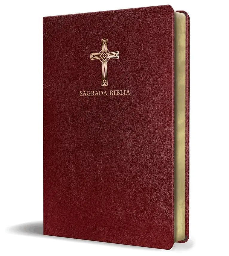 Biblia de América - Biblia Católica en español. Símil piel vinotinto, tamaño compacto / Catholic Bible. Spanish-Language, Leathersoft, Wine, Compact, Inbunden. Tillgänglighet: Lägg i varukorg