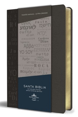 bokomslag Biblia Rvr 1960 Letra Grande Tamaño Manual, Simil Piel Gris Con Nombres de Dios / Spanish Bible Rvr 1960 Handy Size Large Print Leathersoft Grey, Name