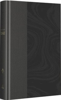 bokomslag Rvr 1960 Biblia de Estudio Dake, Tamaño Grande, Tapa Dura, Negra / Spanish Rvr 1960 Dake Study Bible, Large Size, Black Hardcover