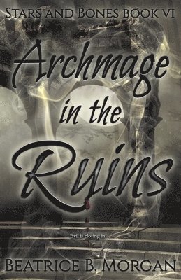 bokomslag Archmage in the Ruins