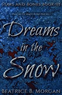 bokomslag Dreams in the Snow