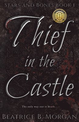 Thief in the Castle 1