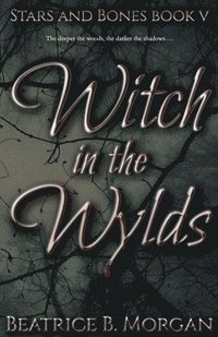bokomslag Witch in the Wylds
