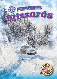 bokomslag Blizzards