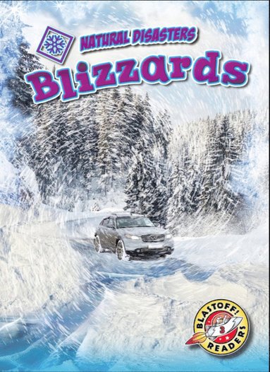 Betsy Rathburn - Blizzards, Inbunden