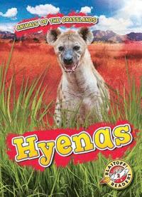 bokomslag Hyenas