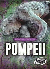 bokomslag Pompeii