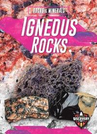 bokomslag Igneous Rocks