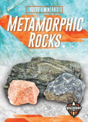 bokomslag Metamorphic Rocks