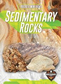 bokomslag Sedimentary Rocks