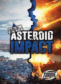 bokomslag Asteroid Impact