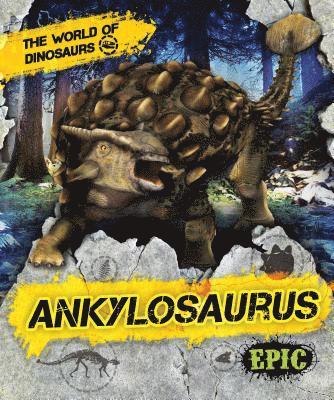 Ankylosaurus 1