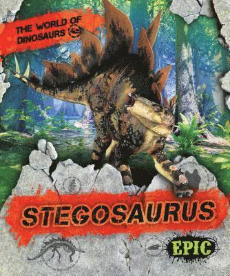 Stegosaurus 1