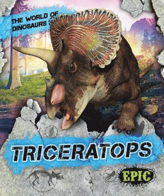 bokomslag Triceratops