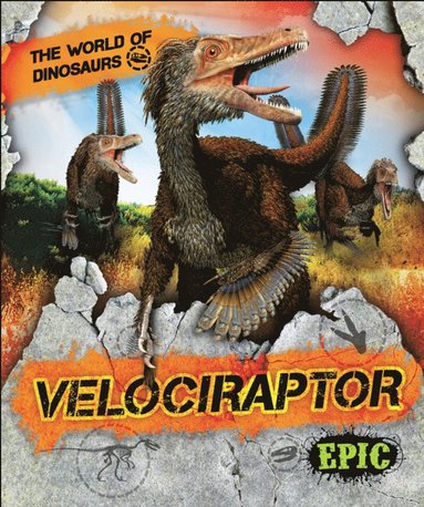 bokomslag Velociraptor