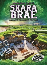 bokomslag Skara Brae