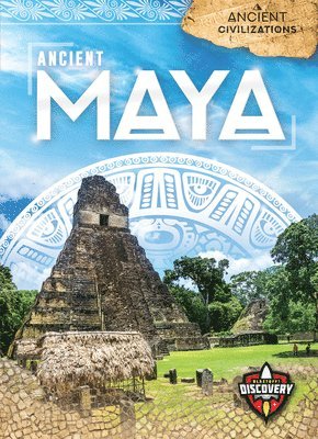 Ancient Maya 1