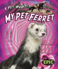 bokomslag My Pet Ferret