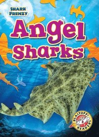 bokomslag Angel Sharks
