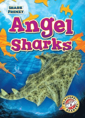 bokomslag Angel Sharks