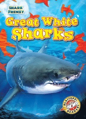 Great White Sharks 1