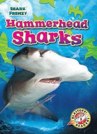 bokomslag Hammerhead Sharks