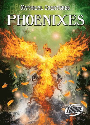 bokomslag Phoenixes