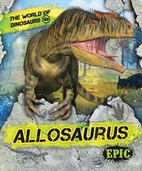 bokomslag Allosaurus