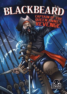 bokomslag Blackbeard: Captain of the Queen An