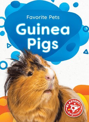 bokomslag Guinea Pigs