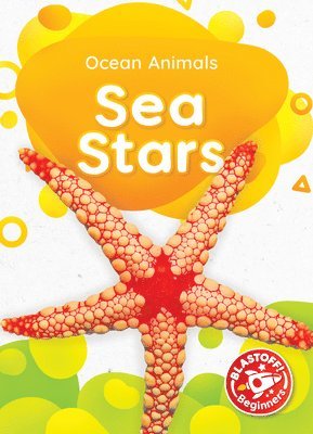 Sea Stars 1