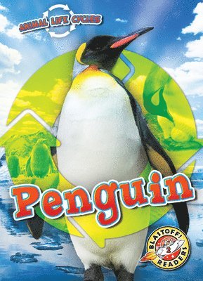 Rebecca Sabelko - Animal Life Cycles: Penguin, Inbunden