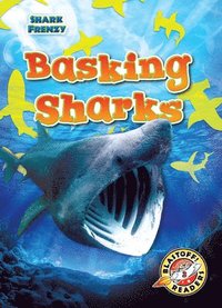 bokomslag Basking Sharks