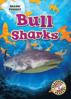 bokomslag Bull Sharks