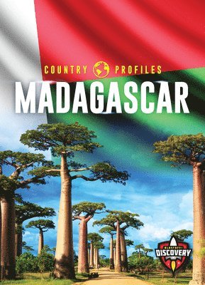 bokomslag Madagascar
