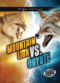 bokomslag Mountain Lion vs. Coyote