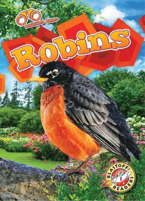 Elizabeth Neuenfeldt - Robins, Inbunden