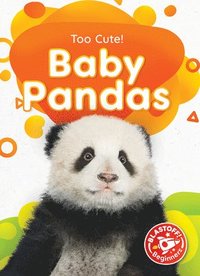 bokomslag Baby Pandas