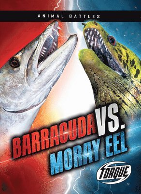 Barracuda vs. Moray Eel 1